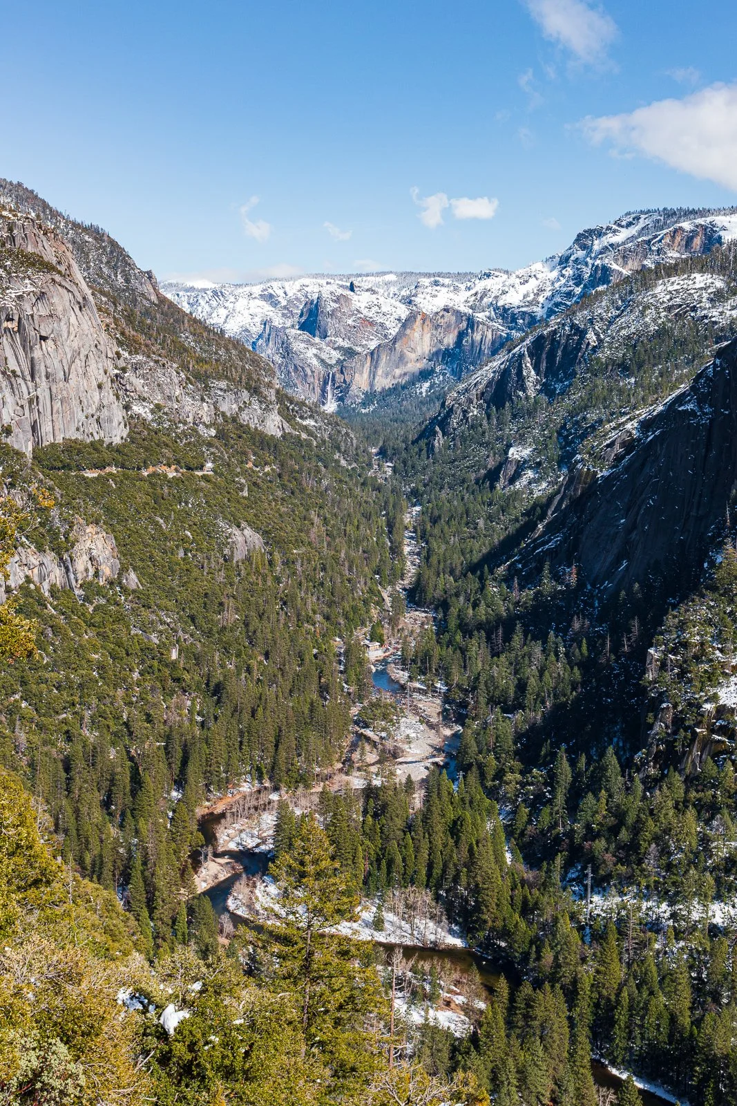 Vallée montagneuse couverte de forêts de conifères, avec des falaises rocheuses et des sommets enneigés sous un ciel bleu.