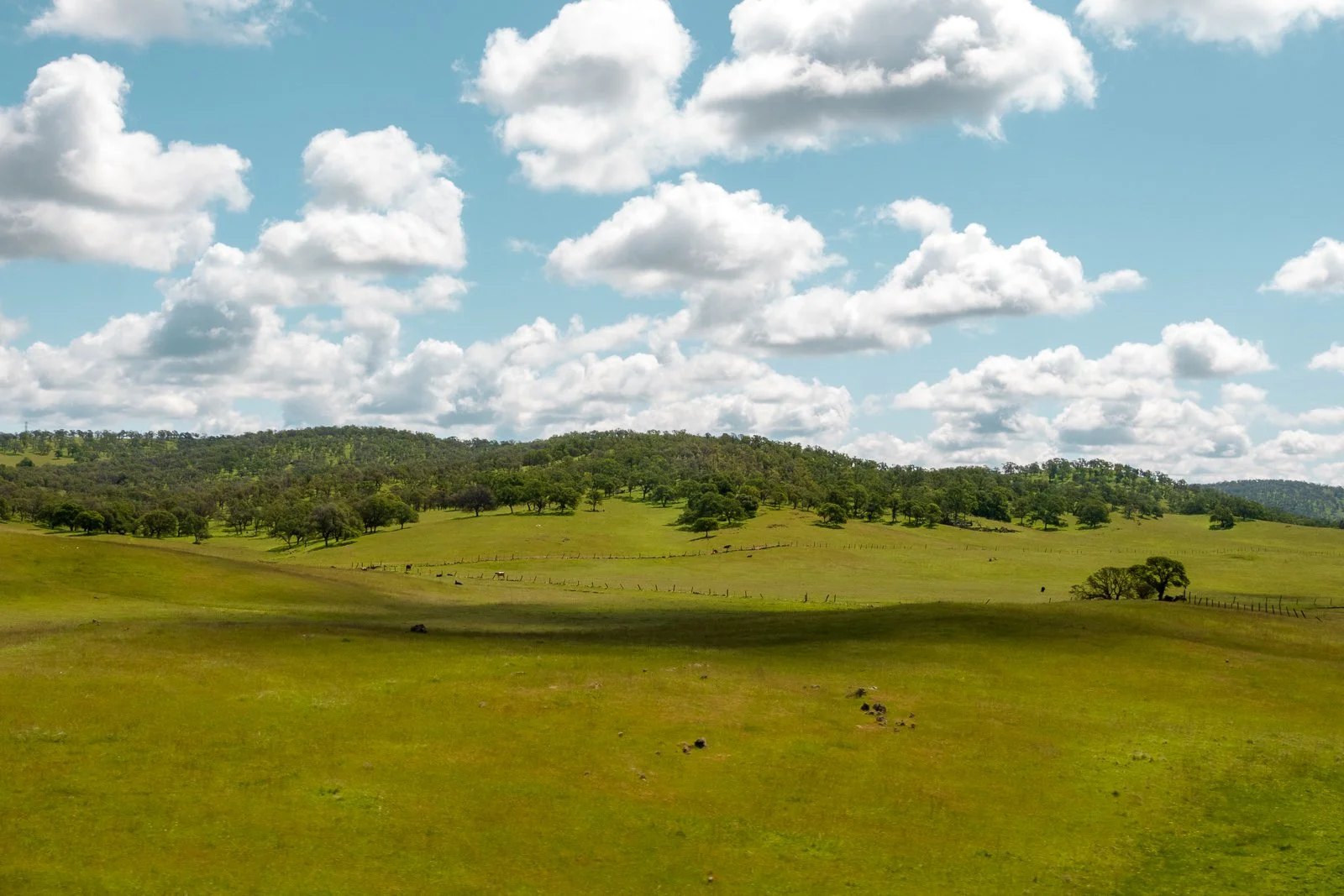 Paysage de campagne avec des collines verdoyantes, des arbres dispersés, un ciel bleu avec des nuages blancs et une clôture en bois.