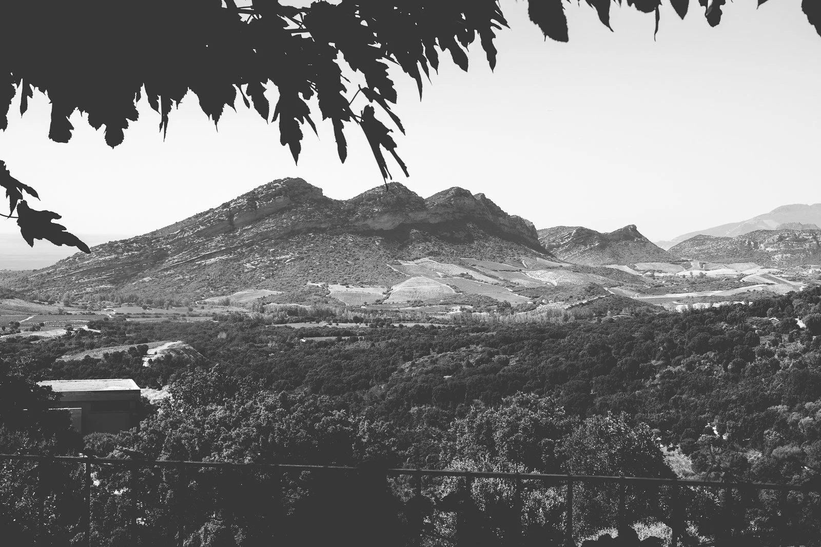 Paysage de montagnes avec des collines et des champs agricoles, vue depuis une terrasse avec des feuilles d'arbres en premier plan, en noir et blanc.