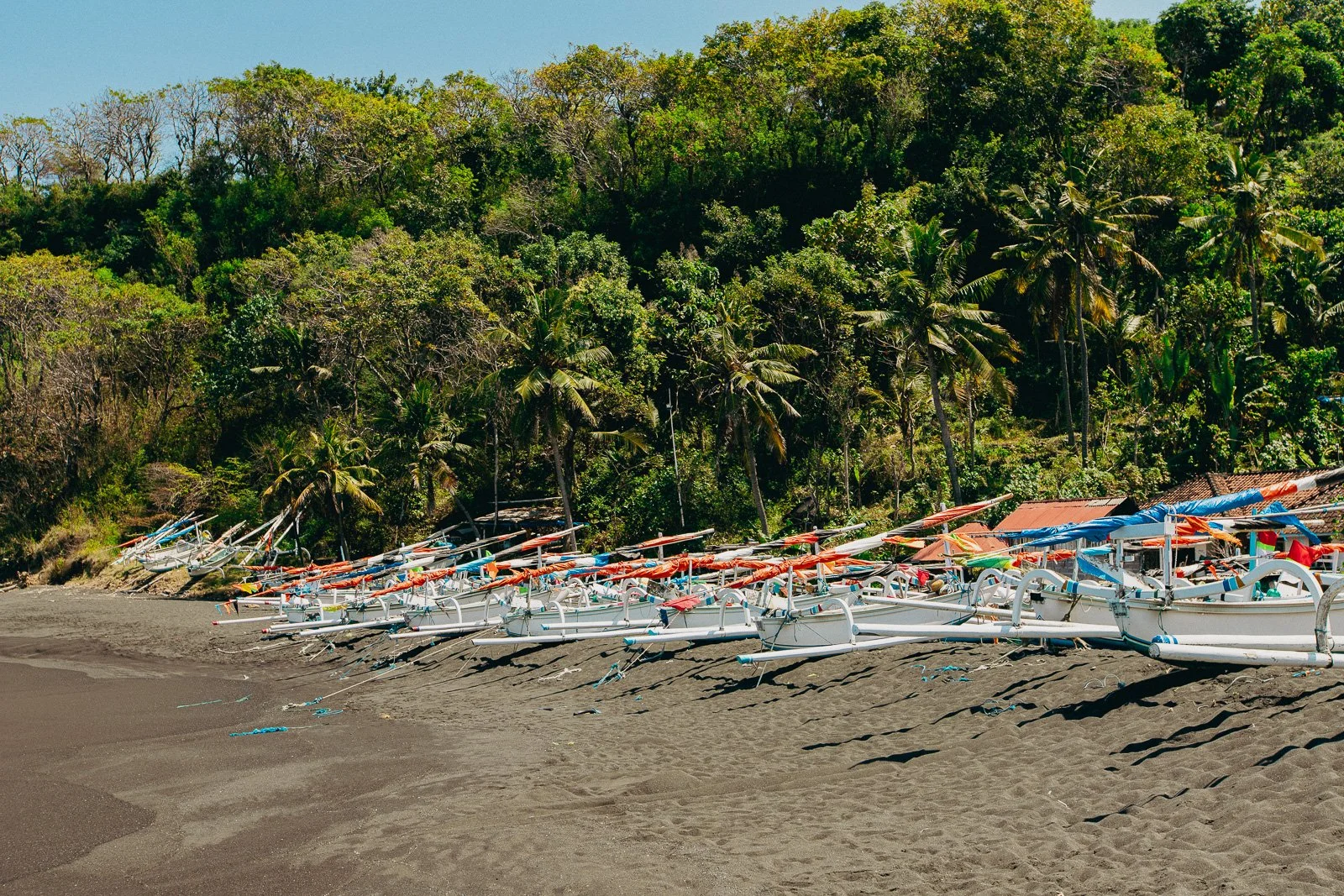 Bateaux de pêche colorés alignés sur la plage avec une forêt dense en arrière-plan.