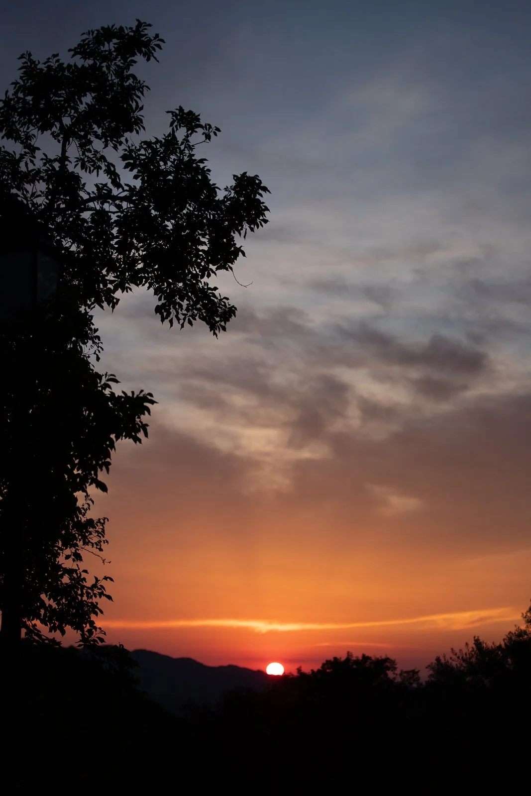 Coucher de soleil avec un ciel coloré, silhouette d'arbres et de montagnes à l'horizon.