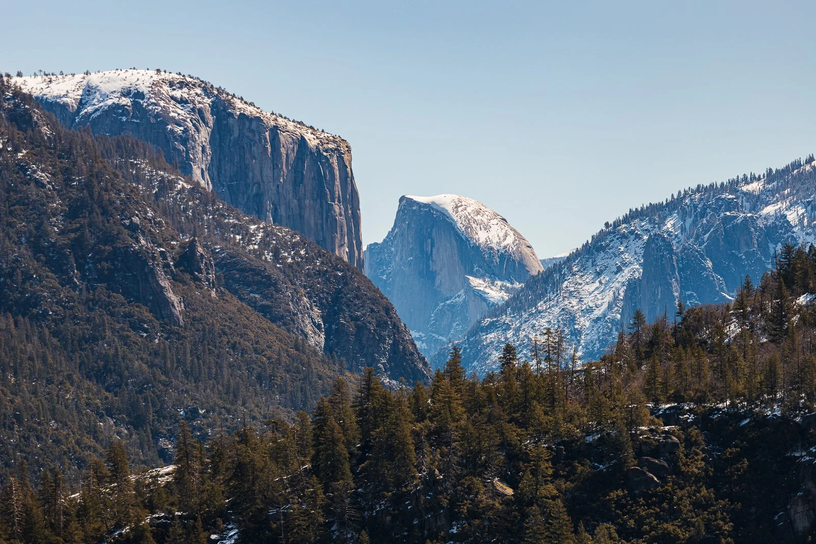 Montagnes avec sommet enneigé et forêt dense en premier plan