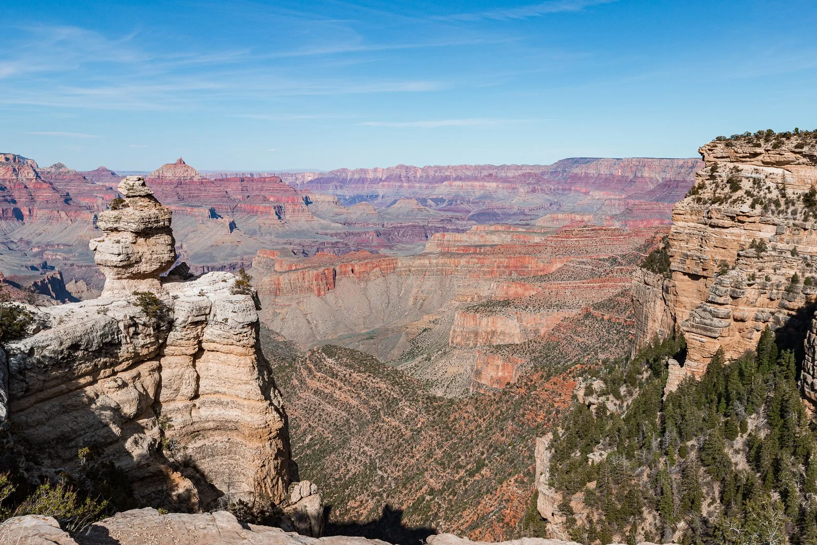 Une vue panoramique du Grand Canyon avec des formations rocheuses et des falaises, sous un ciel bleu clair.