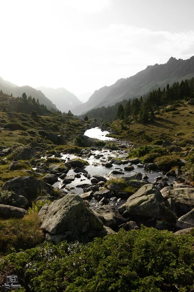 Paysage de montagnes avec un ruisseau traversant une vallée verdoyante.