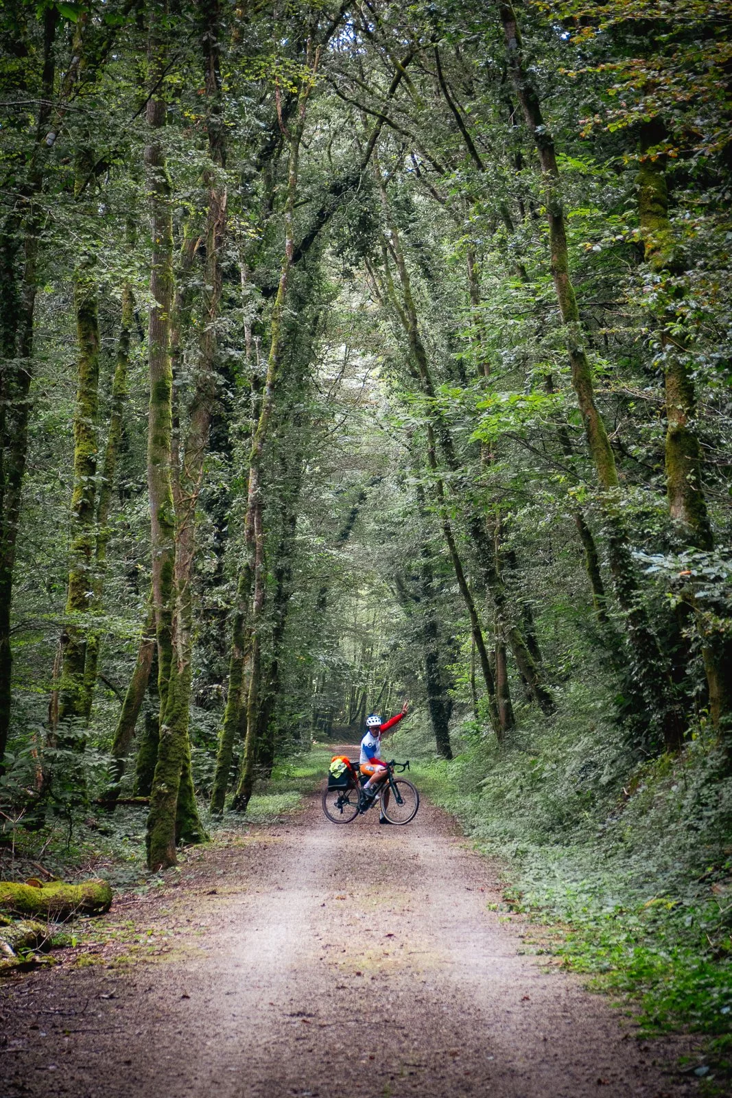 Une personne en vélo, portant un casque, se trouve sur un chemin forestier entouré d'arbres verts dense.