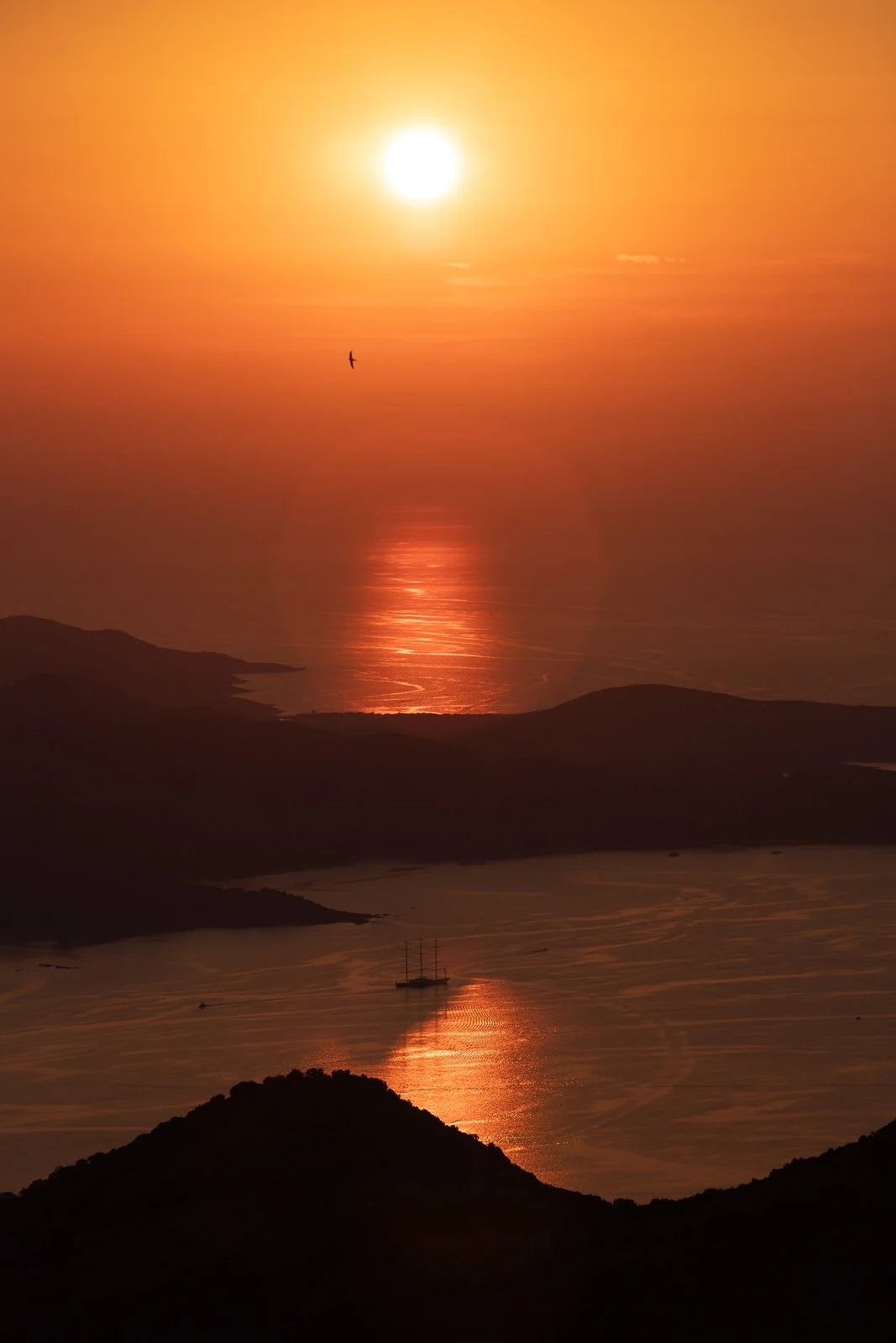 Coucher de soleil avec le soleil haut dans le ciel orange, reflet sur la mer, montagnes sombres au premier plan et un oiseau volant