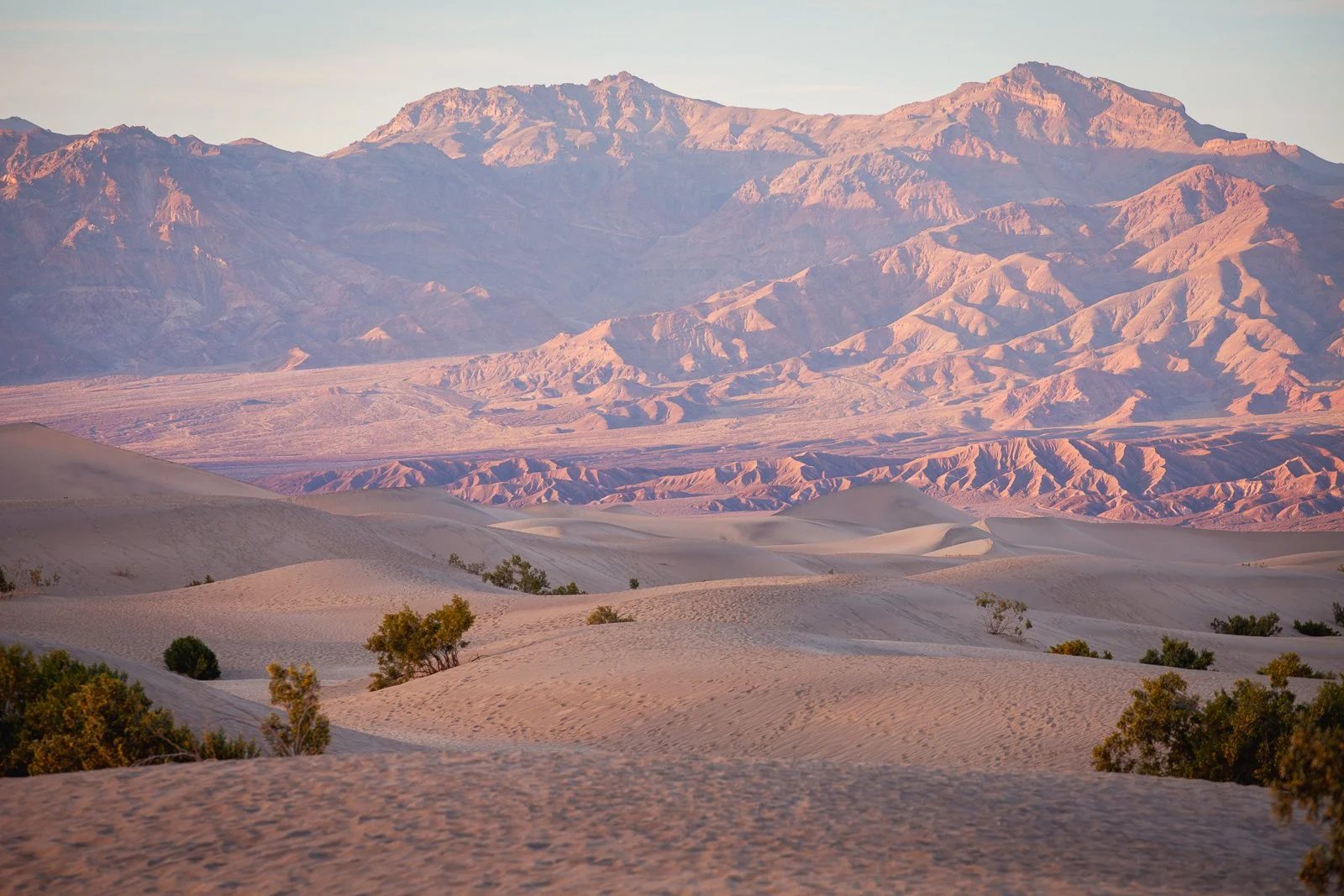 Paysage désertique avec dunes de sable, petites arbustes, et montagnes en arrière-plan lors du coucher ou lever du soleil.