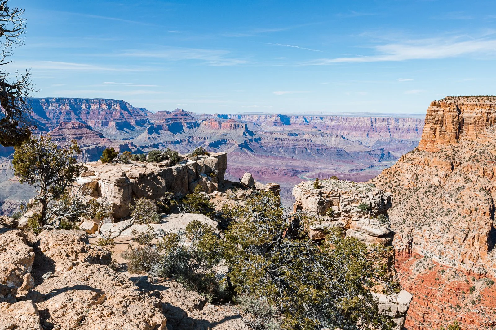 Vue panoramique du Grand Canyon avec des rochers, des arbres et des falaises sous un ciel bleu.