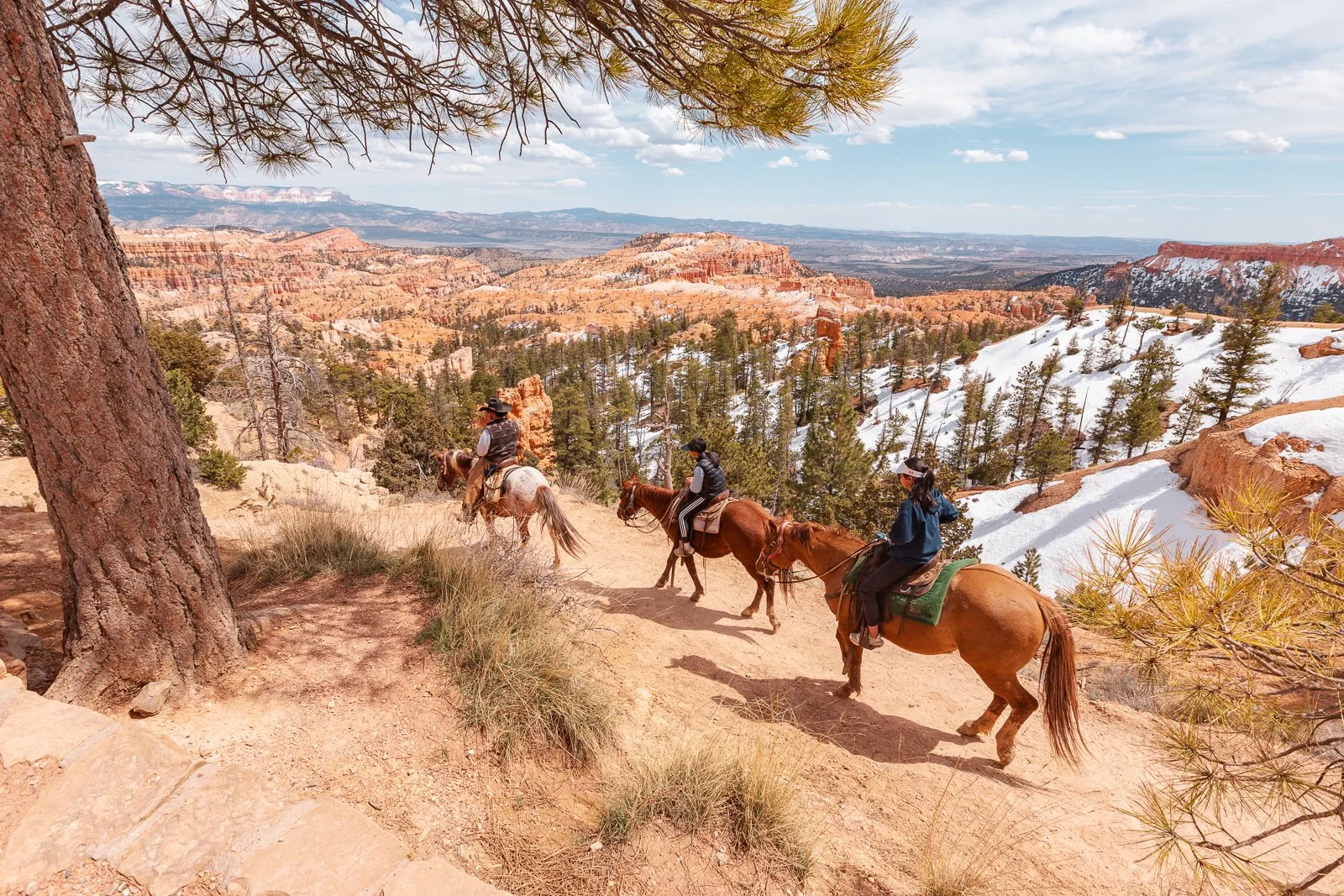 Trois personnes à cheval en randonnée dans un paysage canyon avec des arbres et des rochers, en partie enneigés, sous un ciel bleu avec quelques nuages.