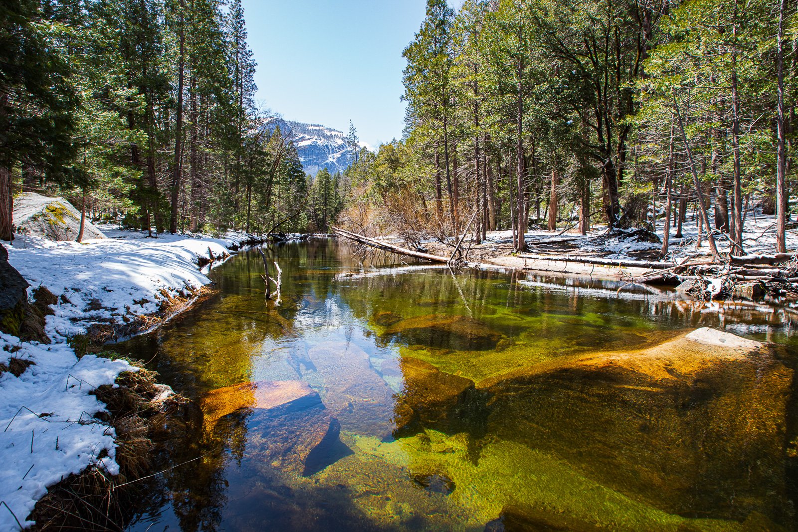 Une rivière calme coule à travers une forêt enneigée, avec des arbres verts et des montagnes en arrière-plan, en plein jour.