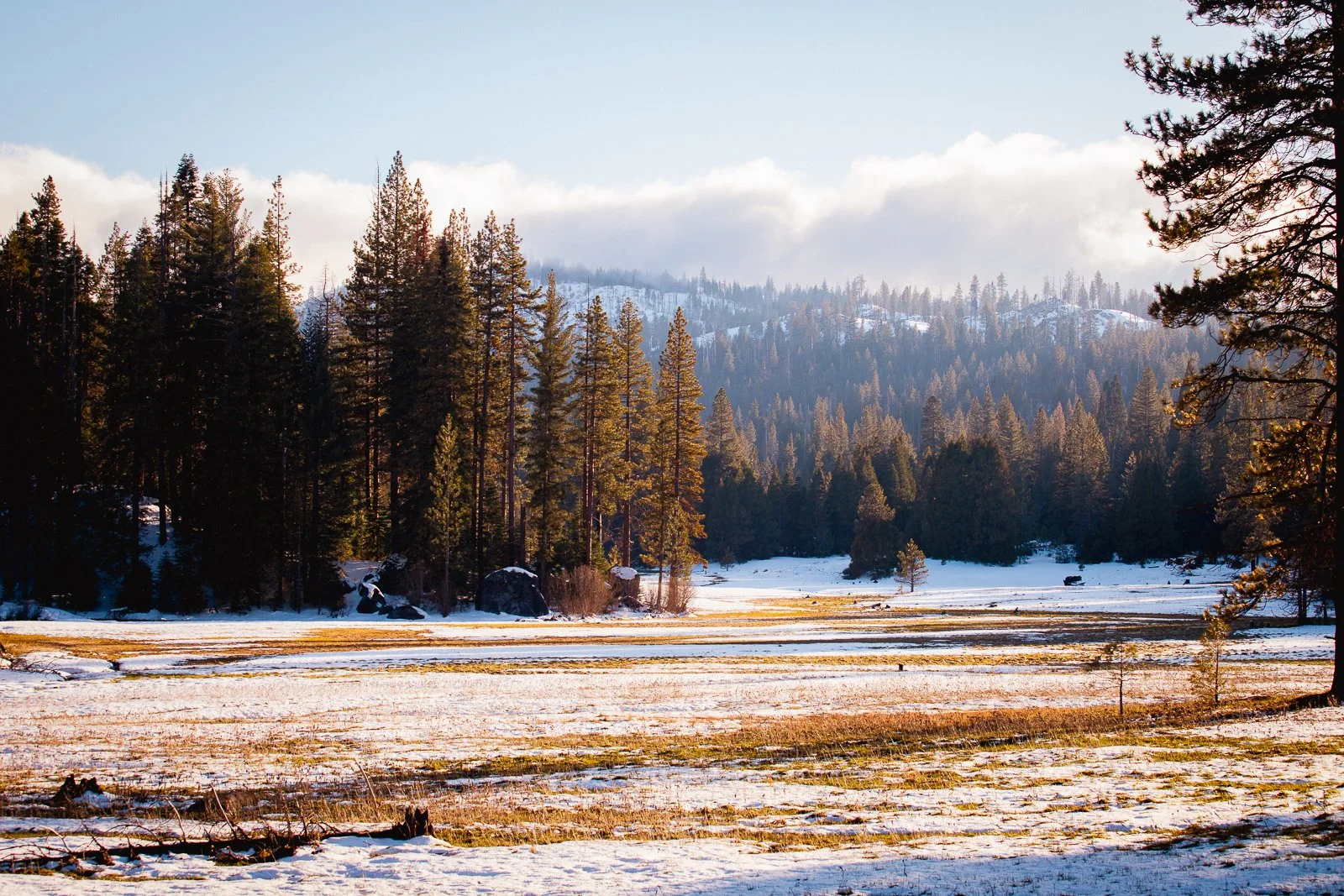 Paysage de forêt enneigée avec des montagnes en arrière-plan et le soleil couchant