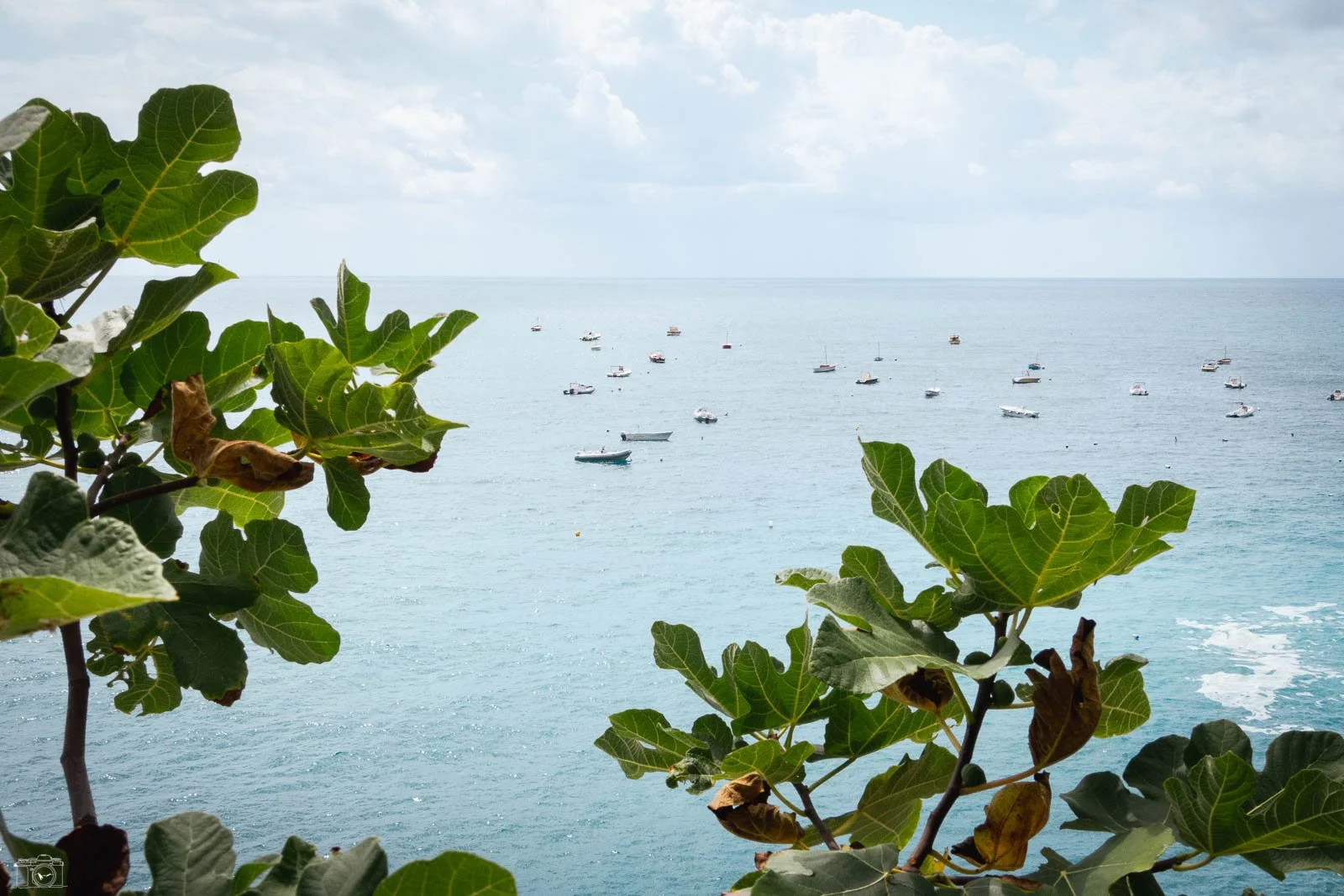 Vue de la mer avec plusieurs bateaux et feuillage vert au premier plan.