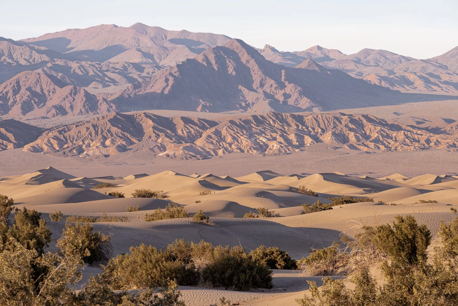 Dunes de sable dans un désert avec des bushes, et montagnes rocheuses en arrière-plan sous un ciel clair.