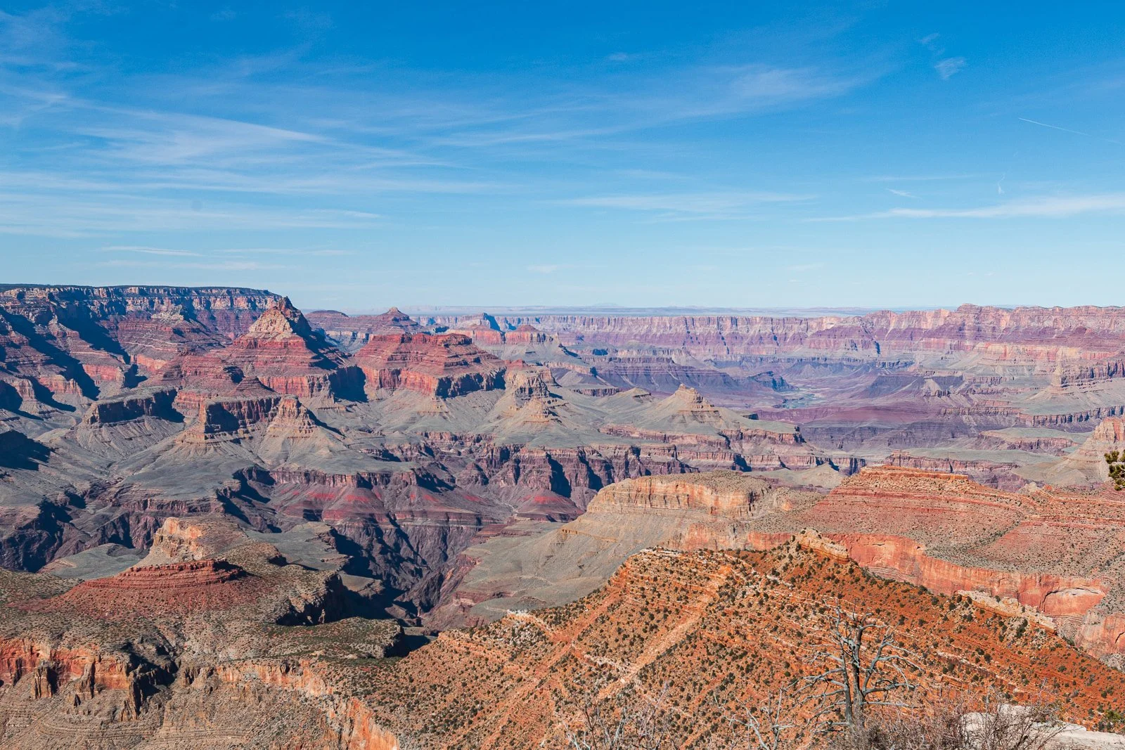 Vue panoramique du Grand Canyon avec des formations rocheuses colorées et un ciel bleu clair.