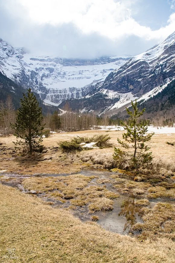 Paysage montagneux avec des sommets enneigés, une vallée avec des arbres verts et un ruisseau à sec ou peu rempli.