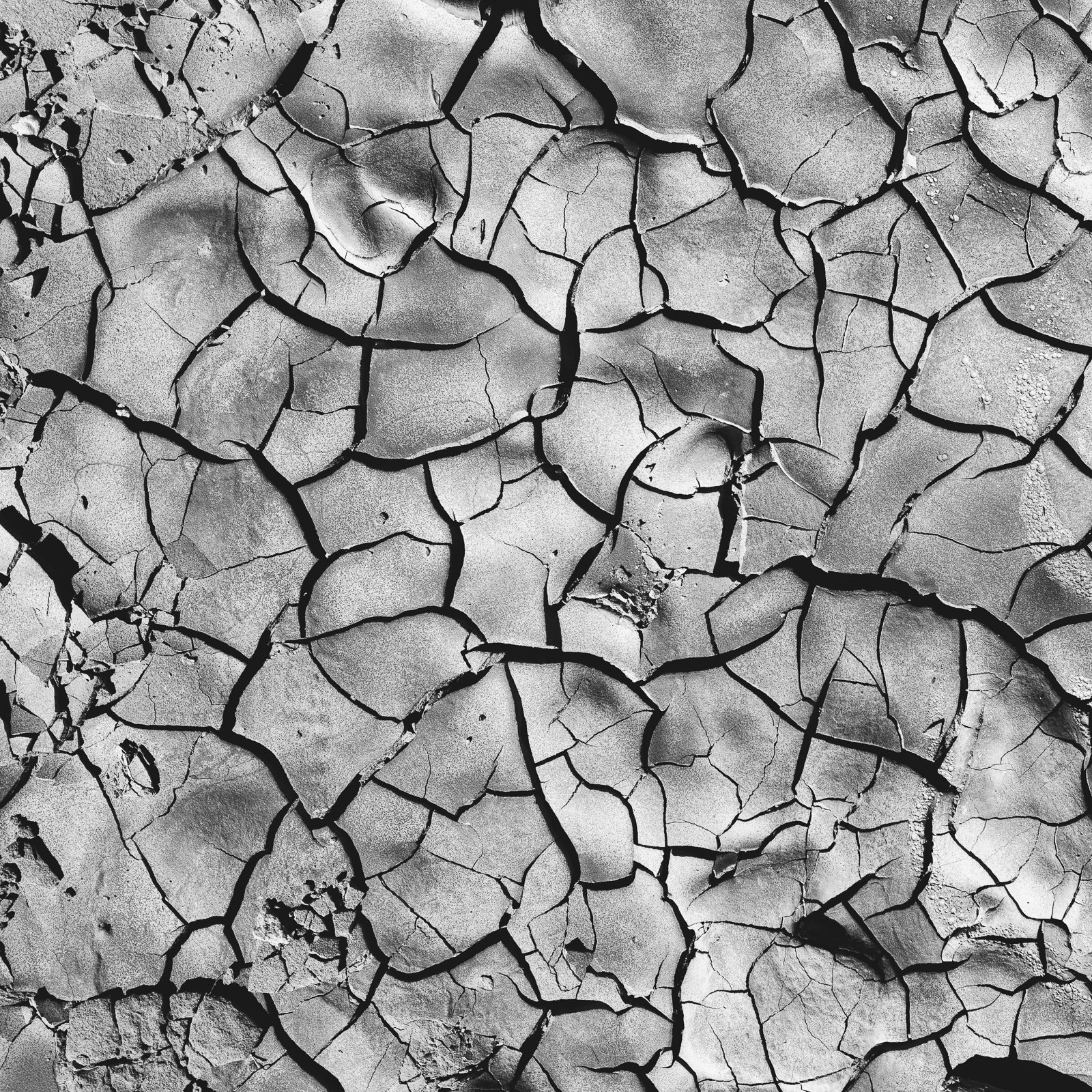 Surface sèche et craquelée de la terre, en noir et blanc.