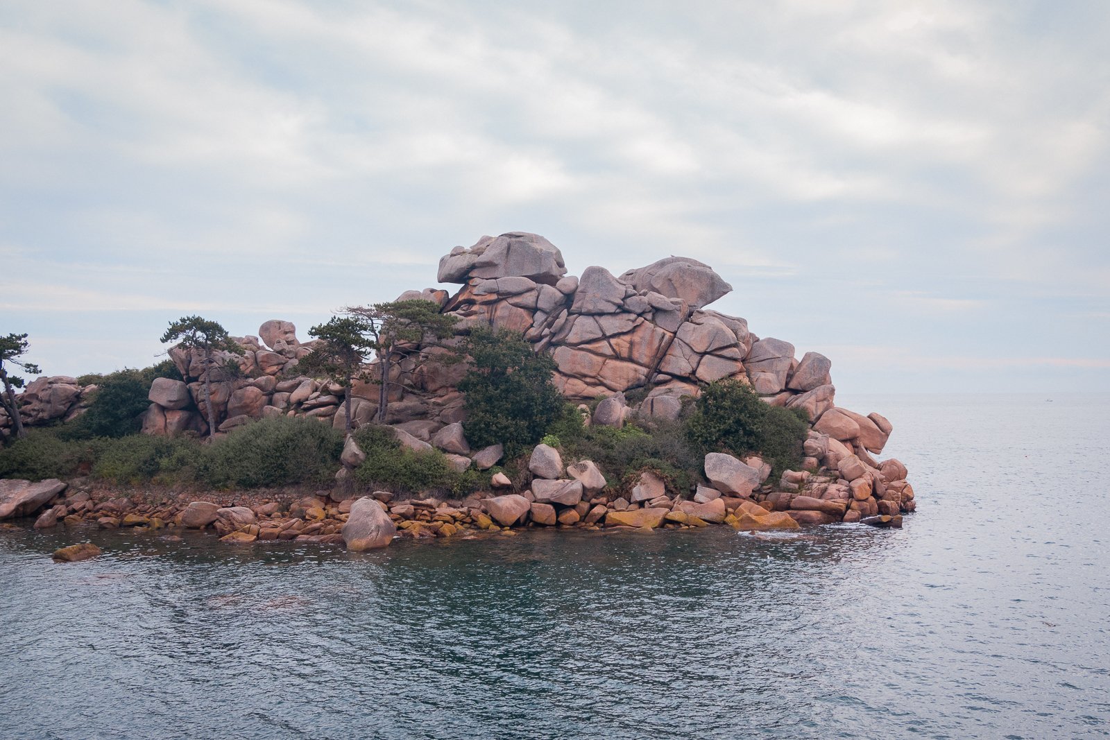 Petite île rocheuse avec des arbres et des rochers au bord de la mer, ciel nuageux.