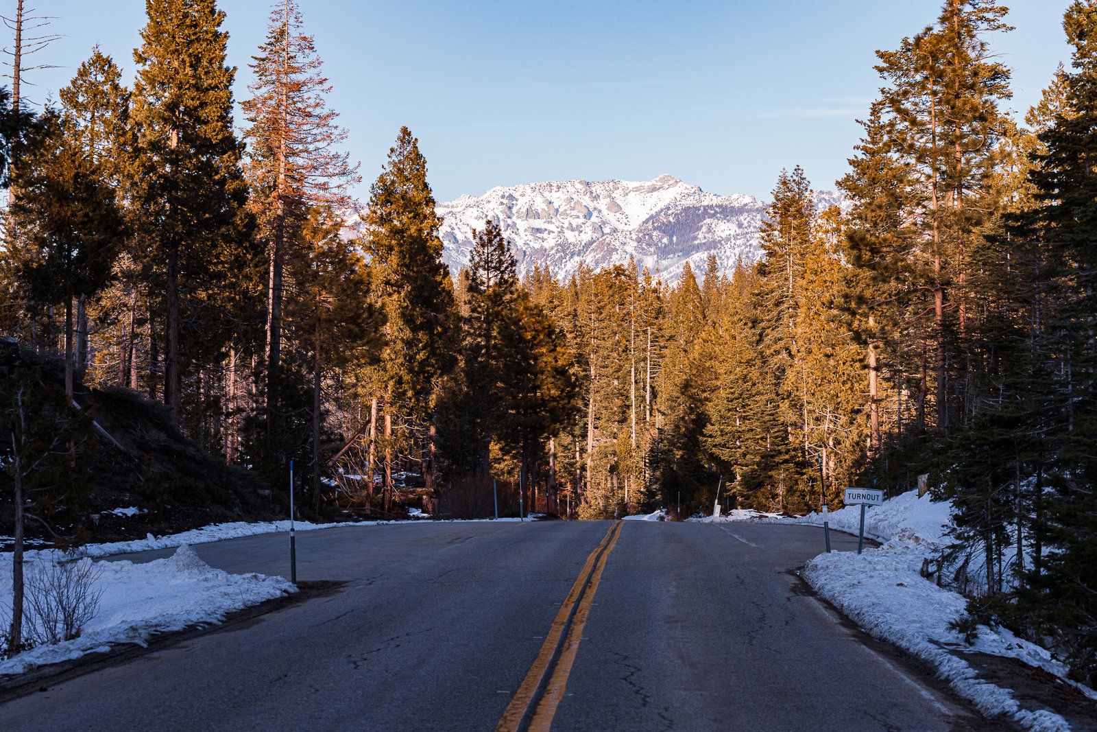 Une route de montagne entourée d'arbres, avec des sommets enneigés en arrière-plan et un panneau "TURNOUT" à droite.