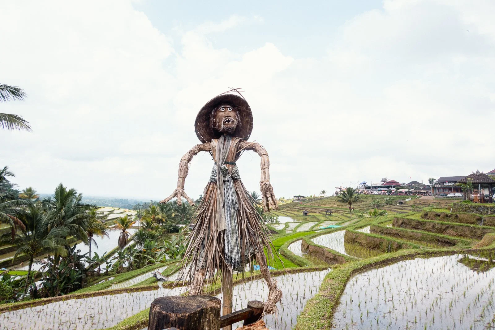 Une statue en paille représentant un personnage humain avec un large chapeau, situé dans un paysage de rizières en terrasses avec des villages en arrière-plan.