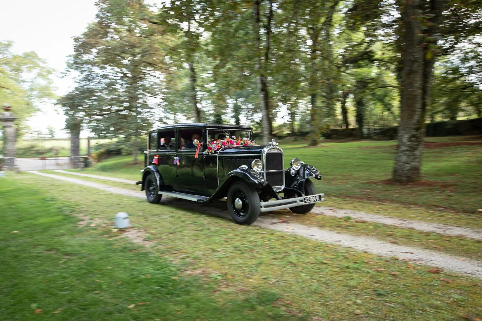 Voiture ancienne noire décorée de fleurs et de rubans, circulant sur un chemin de gravier dans un parc avec des arbres.