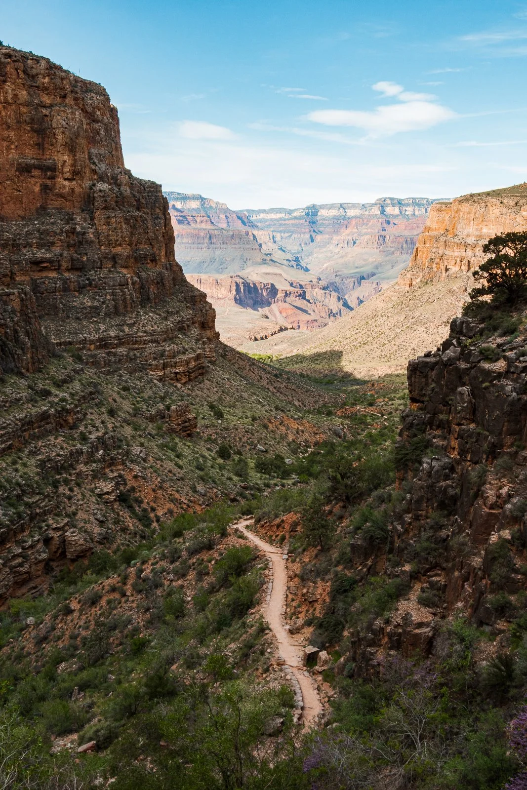 Vue du Grand Canyon avec un sentier escarpé serpentant dans la vallée, entouré de falaises rocheuses et de végétation sparse sous un ciel partiellement nuageux.