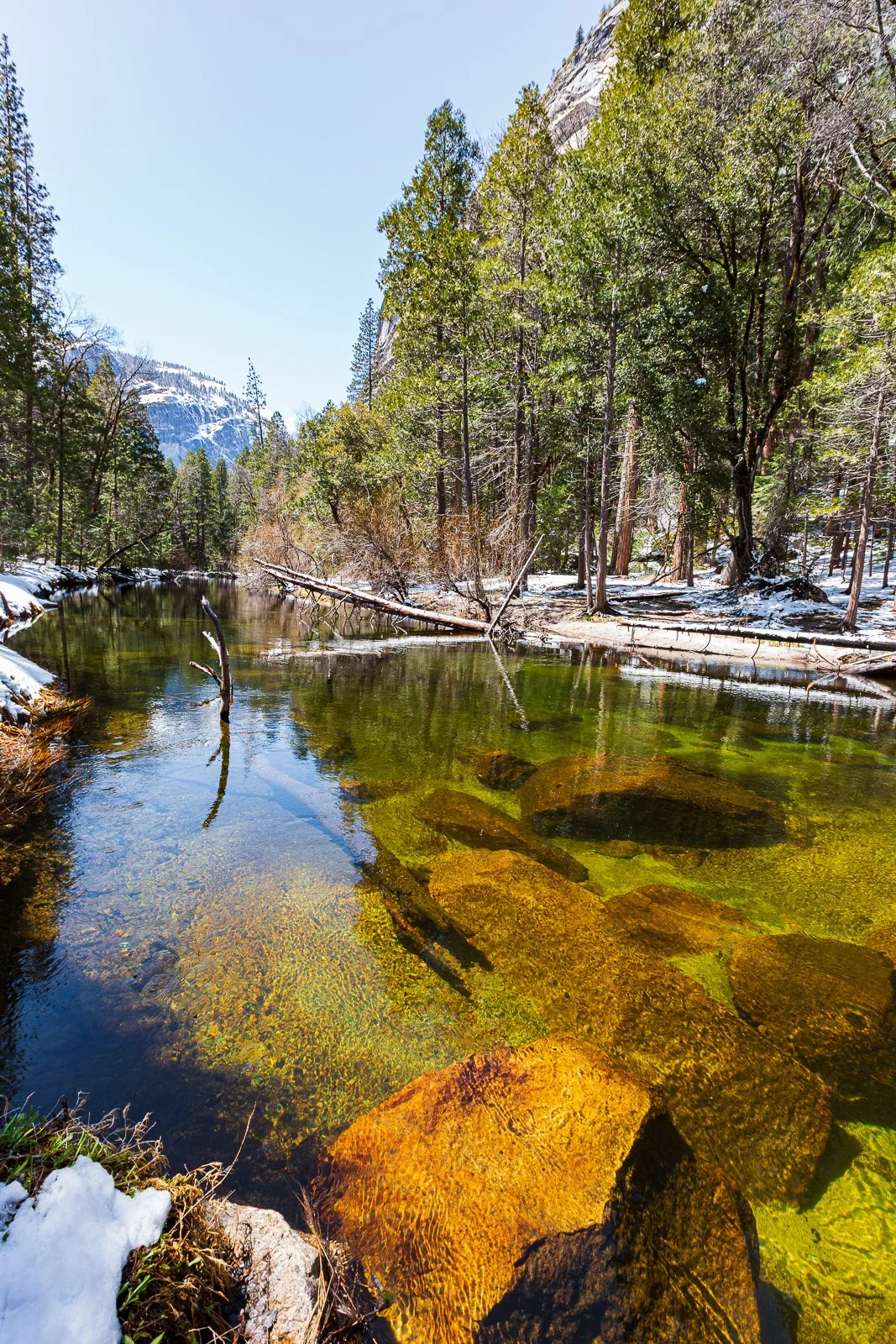 Rivière claire dans une forêt montagneuse où il y a de la neige, des arbres verts et des rochers sous l'eau.