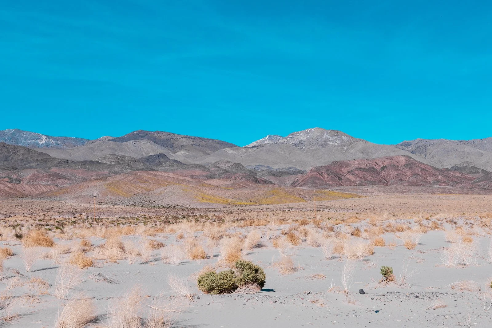 Paysage désertique avec des montagnes en arrière-plan, un ciel bleu clair, et des arbustes clairsemés au sol.