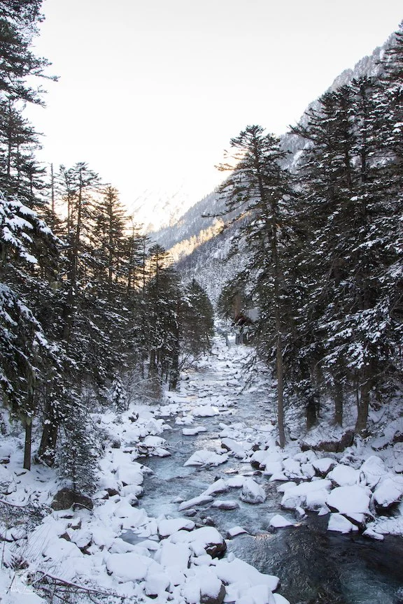 Vue d'une rivière gelée entourée d'arbres enneigés dans un paysage de montagne en hiver.