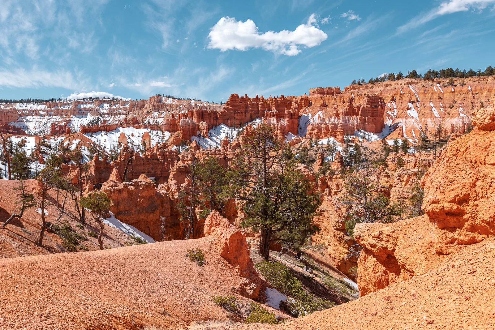 Canyon rouge avec des arbres et des rochers, neige sur certaines zones, ciel bleu avec des nuages