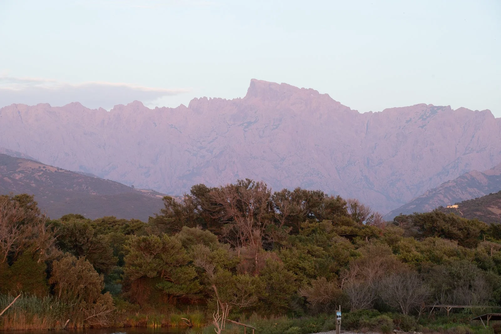 Montagne majestueuse en arrière-plan avec des arbres feuillus au premier plan, sous un ciel clair en fin d'après-midi.