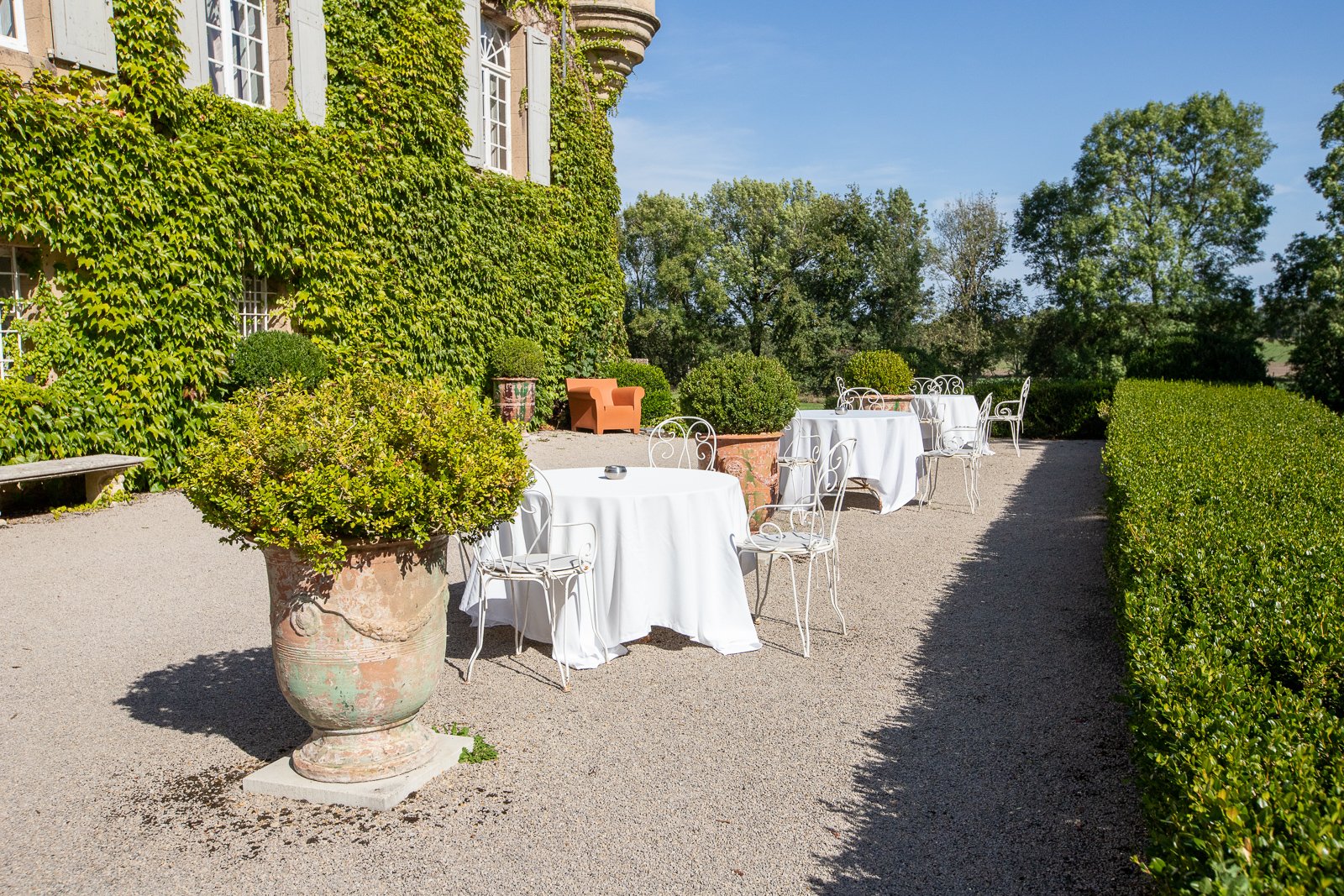 Terrasse extérieure avec tables voilées en blanc, chaises en métal blanc, entourée de buissons et d'une grande maison couverte de lierre plants. Élégant et calme, en plein soleil.