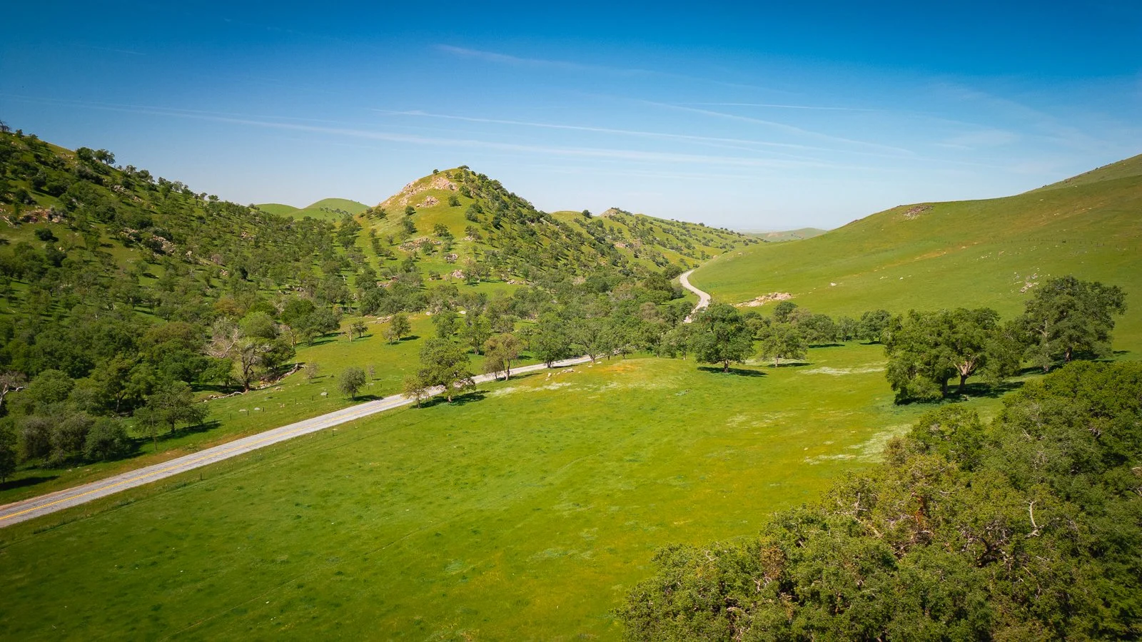 Campagne verdoyante avec des collines, des arbres dispersés, une route sinueuse et un ciel bleu clair.