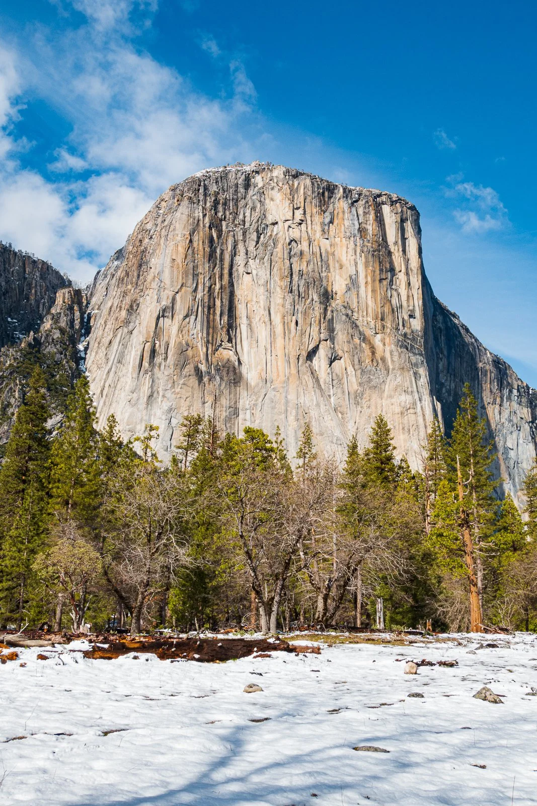 Une grande falaise rocheuse, probablement le Half Dome dans le parc national de Yosemite, avec des arbres verts et un peu de neige au sol, sous un ciel bleu avec quelques nuages.