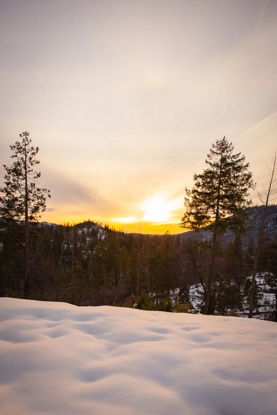 Coucher de soleil sur une forêt enneigée avec des montagnes en arrière-plan.