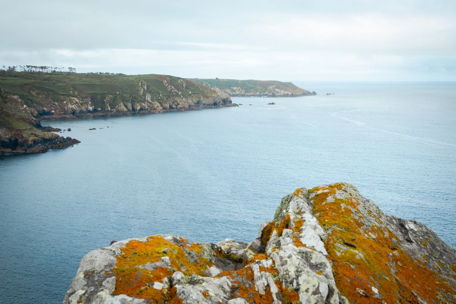 Vue d'une côte rocheuse avec un large corps d'eau, des falaises verdoyantes et un ciel nuageux.