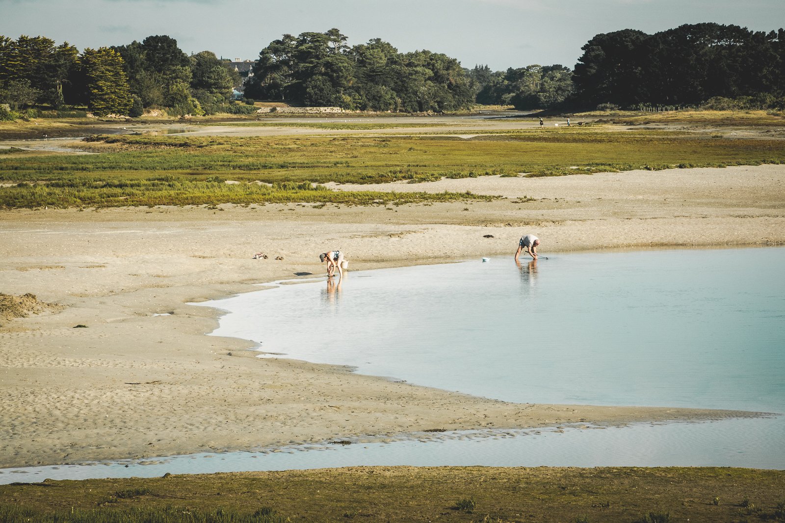 Deux personnes pêchant dans une rivière peu profonde entourée de nature avec des arbres et un paysage verdoyant.