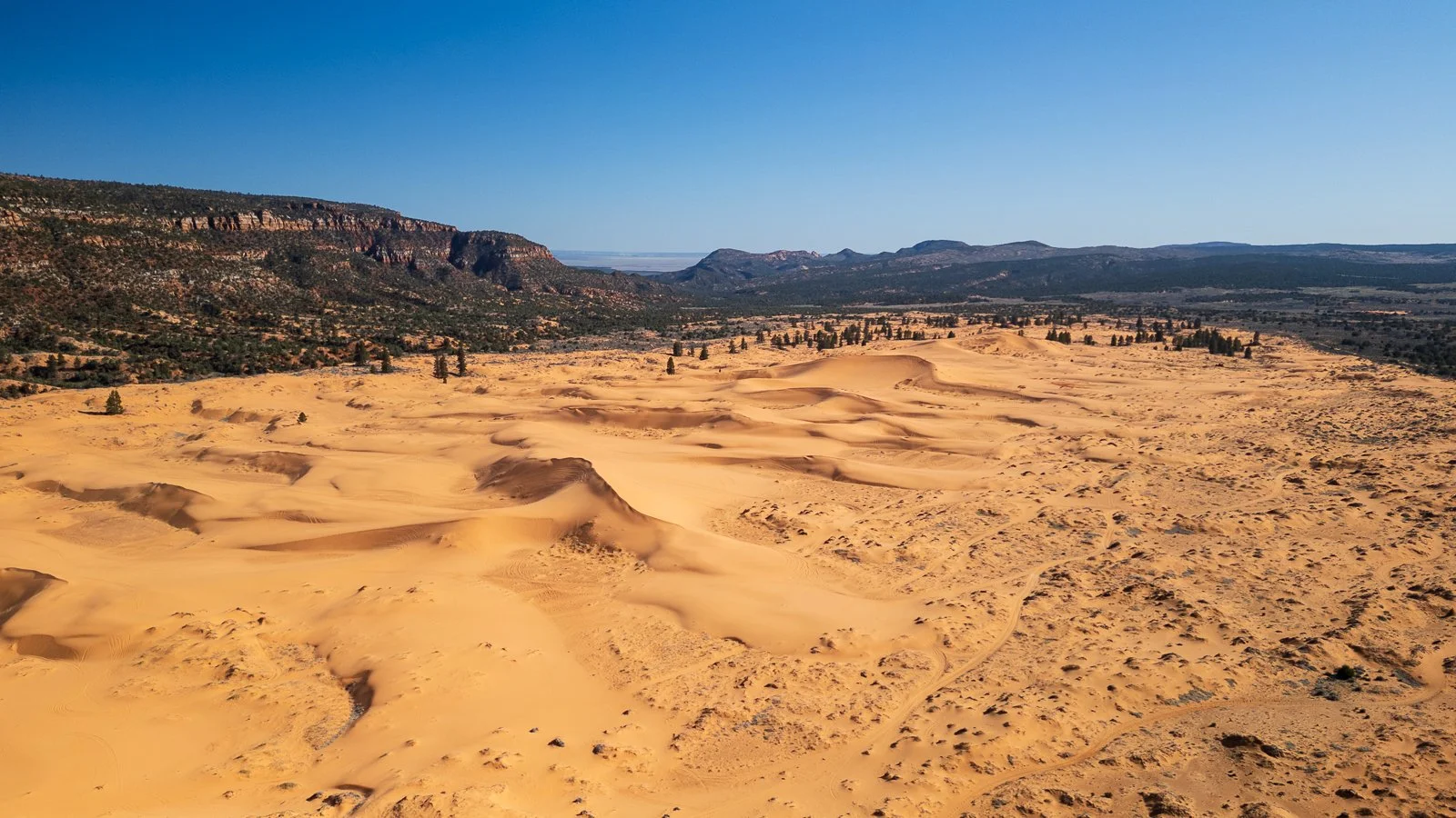 Paysage désertique avec dunes de sable, montagnes au loin, et ciel clair.