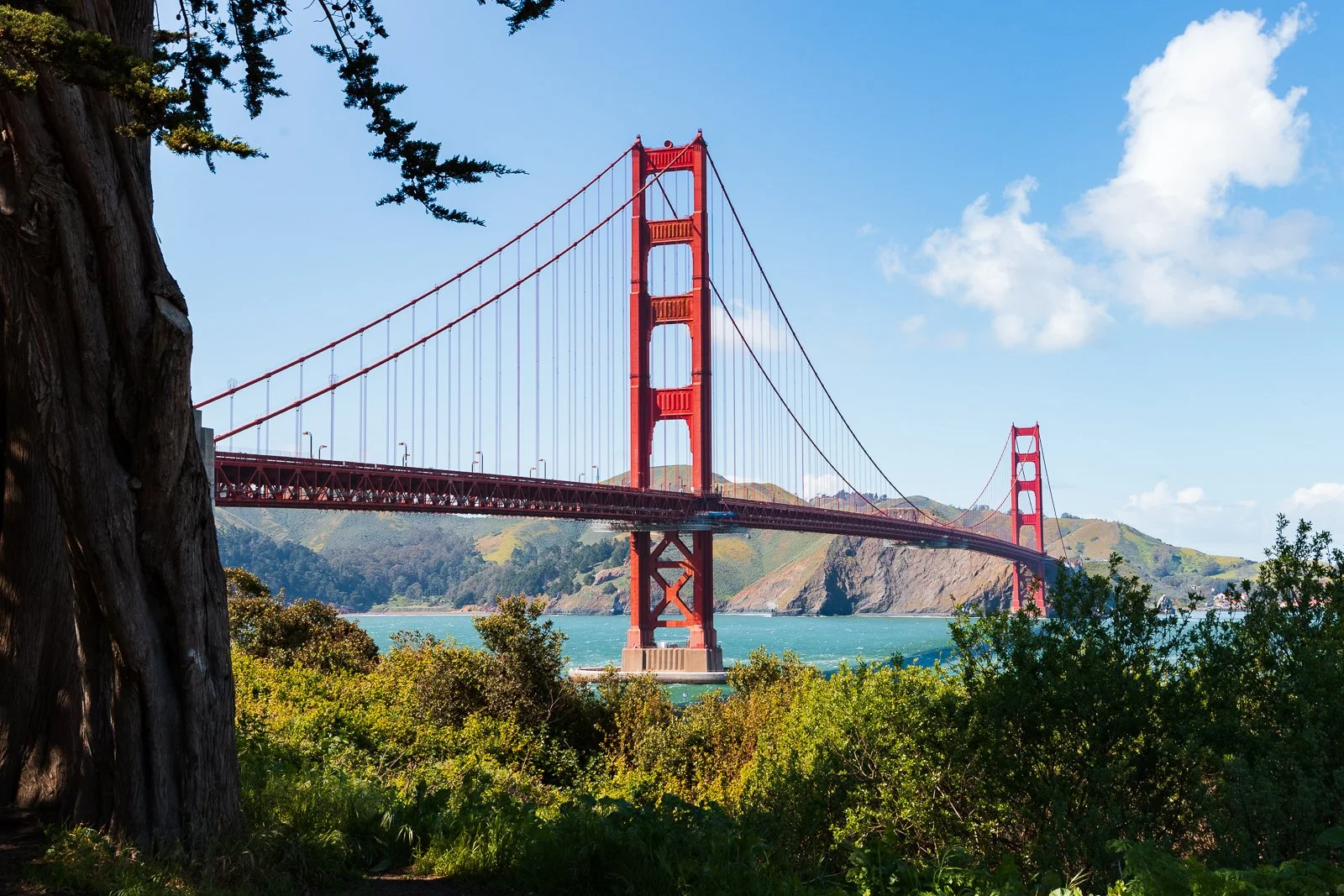 Le pont suspendu de San Francisco, le Golden Gate, en vue à travers la végétation, avec le ciel bleu et quelques nuages blancs.