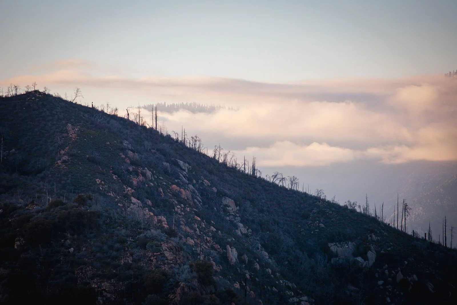 Photo d'une montagne escarpée avec des arbres calcinés et des rochers, sous un ciel nuageux avec de la brume
