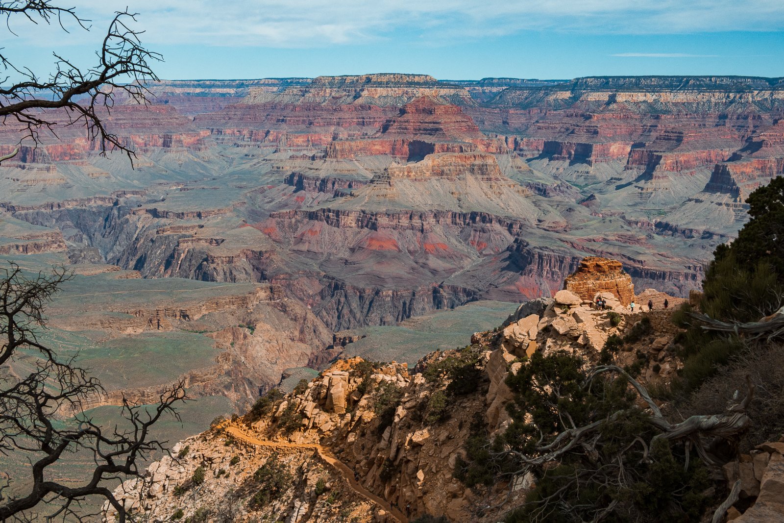 Vue du Grand Canyon avec des formations rocheuses colorées, un chemin de randonnée en spirale et quelques personnes au sommet d'une falaise, entre des arbres et des branches.