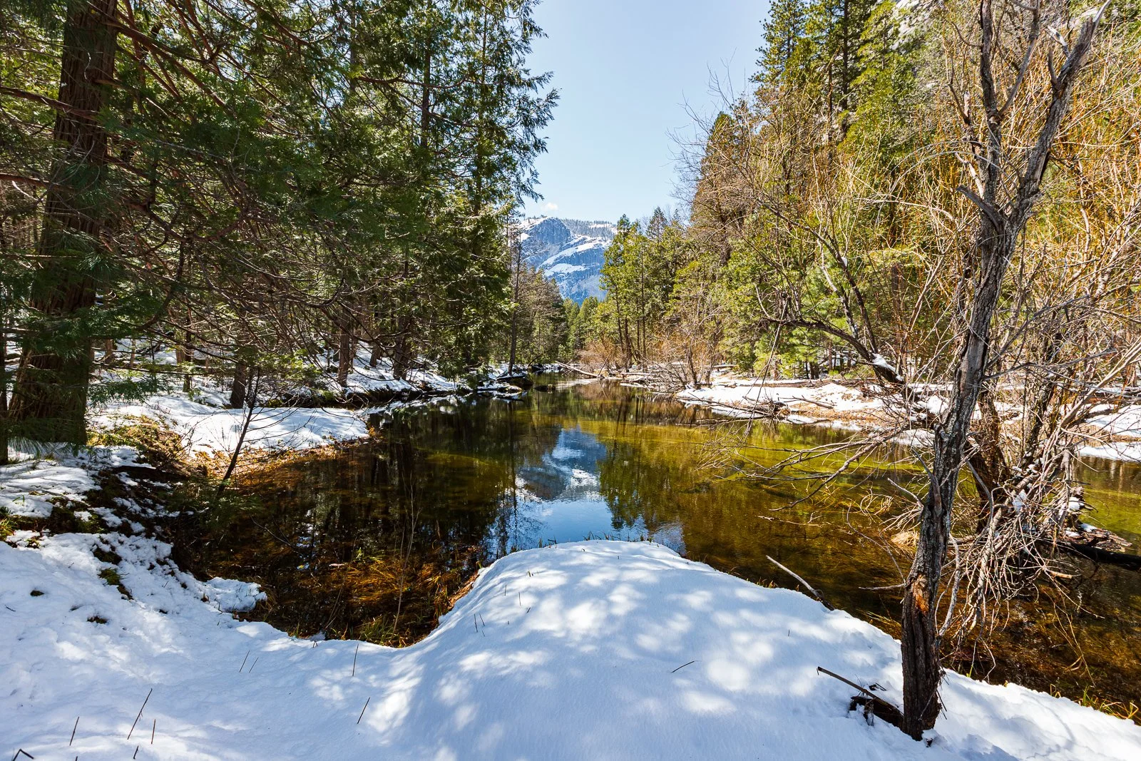 Paysage d'une forêt enneigée avec une rivière, montagnes en arrière-plan, arbres verts et dénudés, ciel clair et soleil