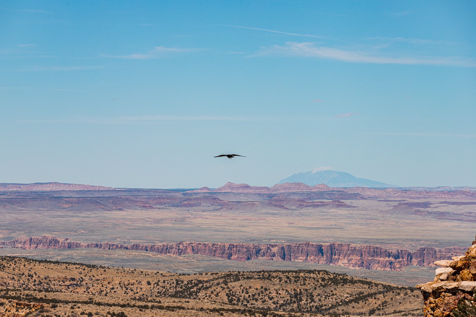 Paysage désertique avec un canyon, des montagnes à l'arrière-plan, un ciel bleu clair et un oiseau volant au centre.