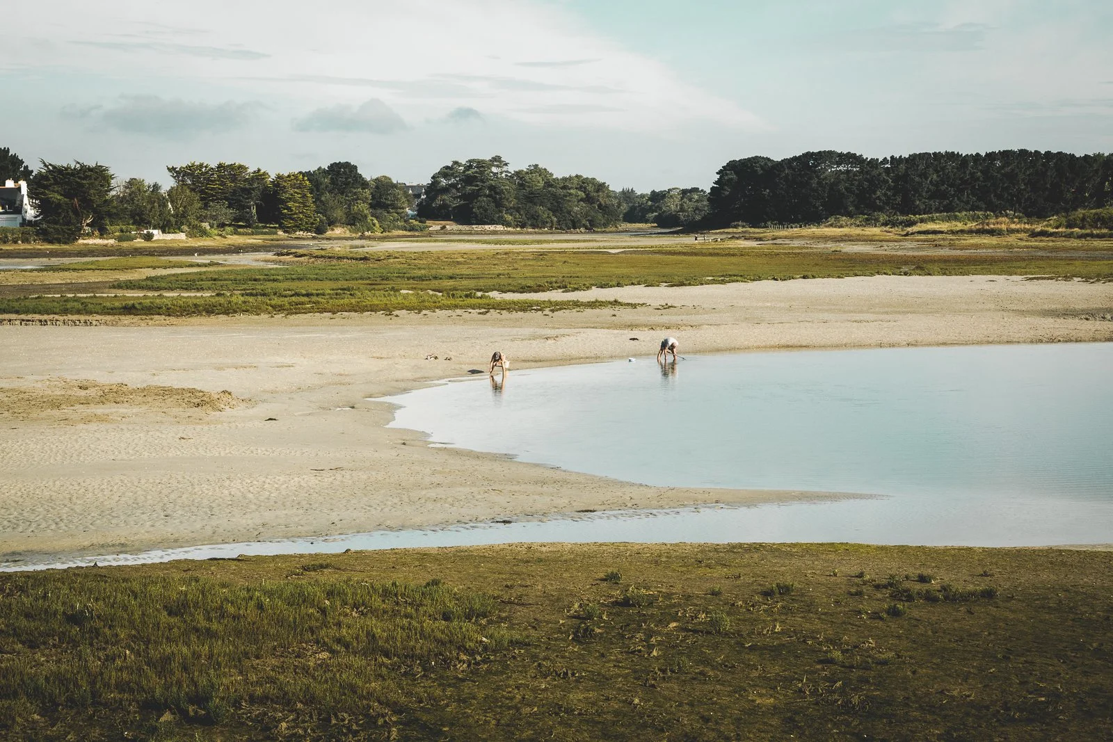 Deux personnes explorant une zone humide bordée d'eau peu profonde, avec des arbres en arrière-plan dans un paysage naturel.