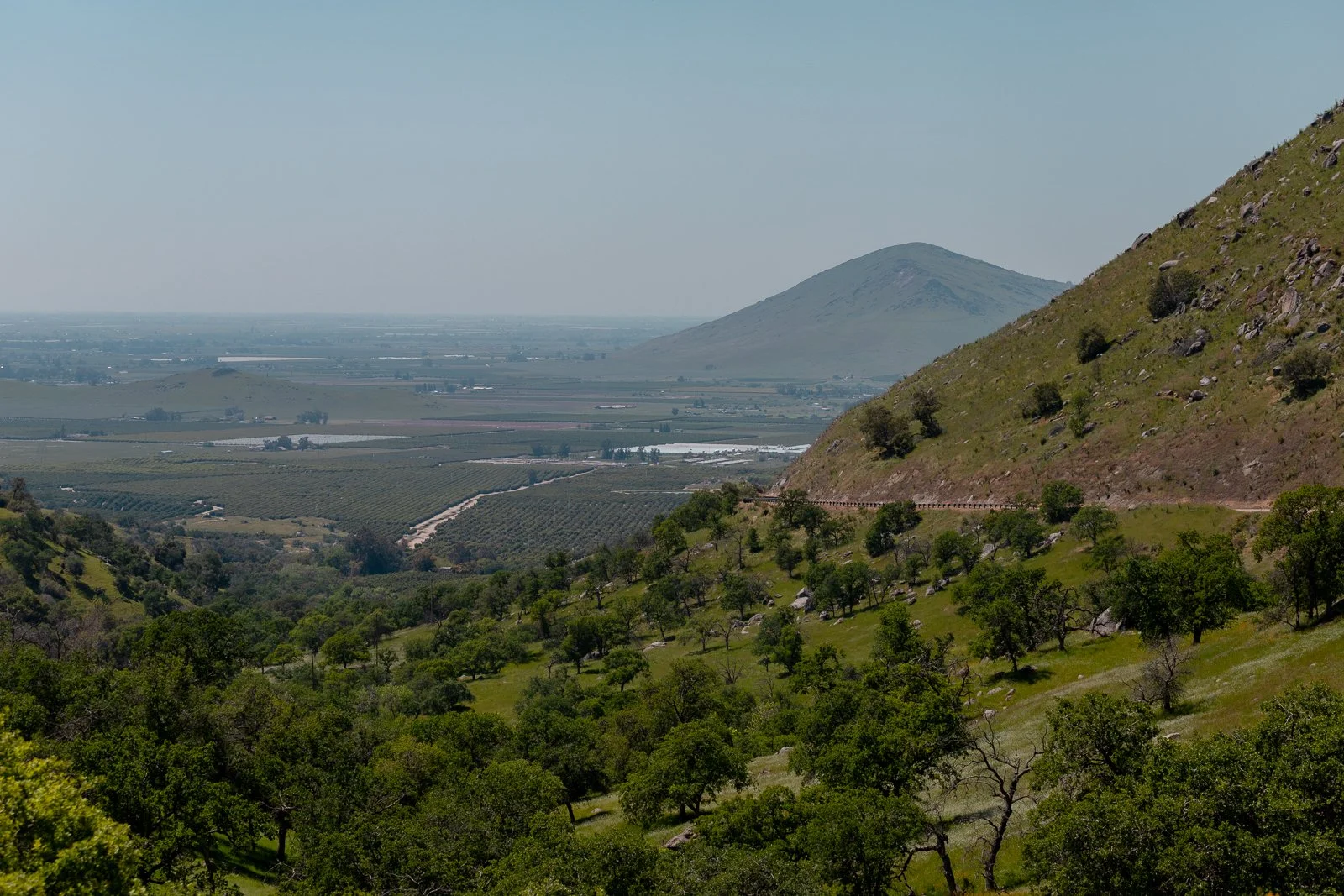 Paysage de collines verdoyantes avec des arbres, une vallée et une montagne en arrière-plan.