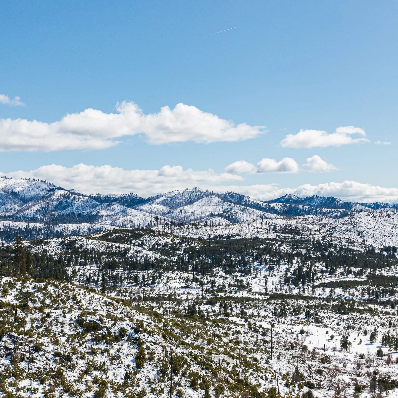 Montagnes enneigées avec des sommets couverts de neige, ciel bleu avec des nuages blancs, forêt dense au premier plan.