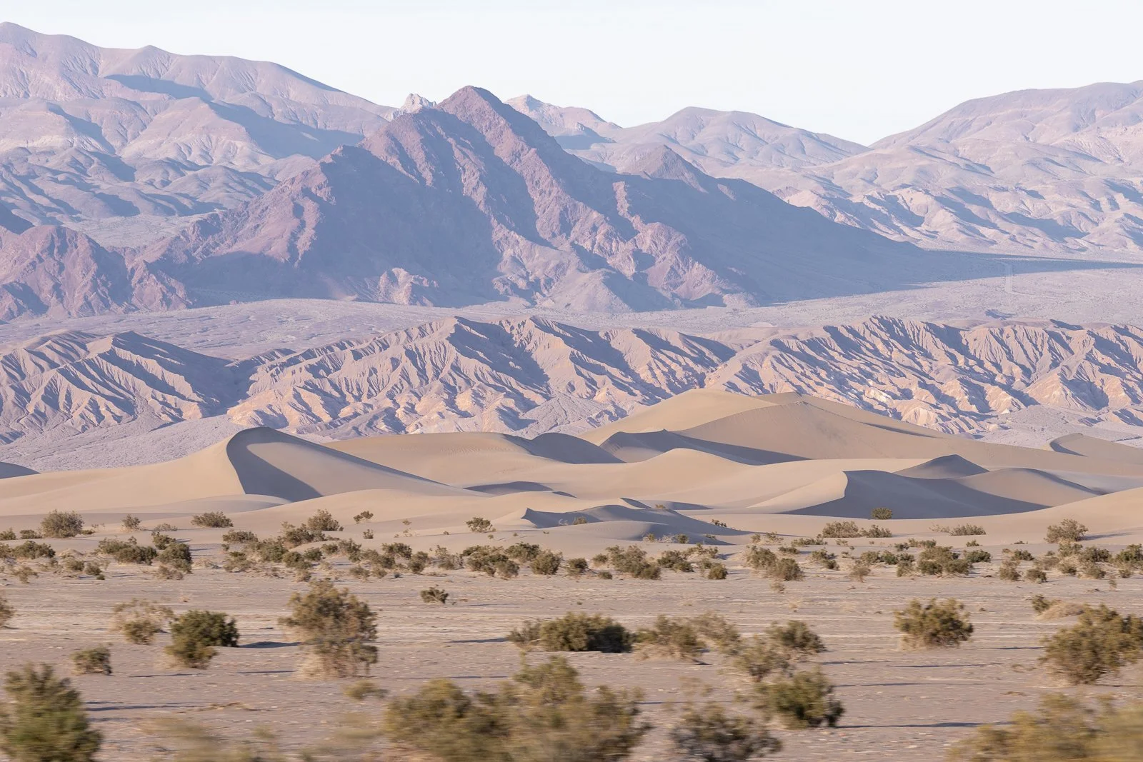 Un paysage désertique avec des dunes de sable clair au premier plan, un champ de petits arbustes, suivi de montagnes rocheuses colorées et de montagnes plus hautes en arrière-plan.