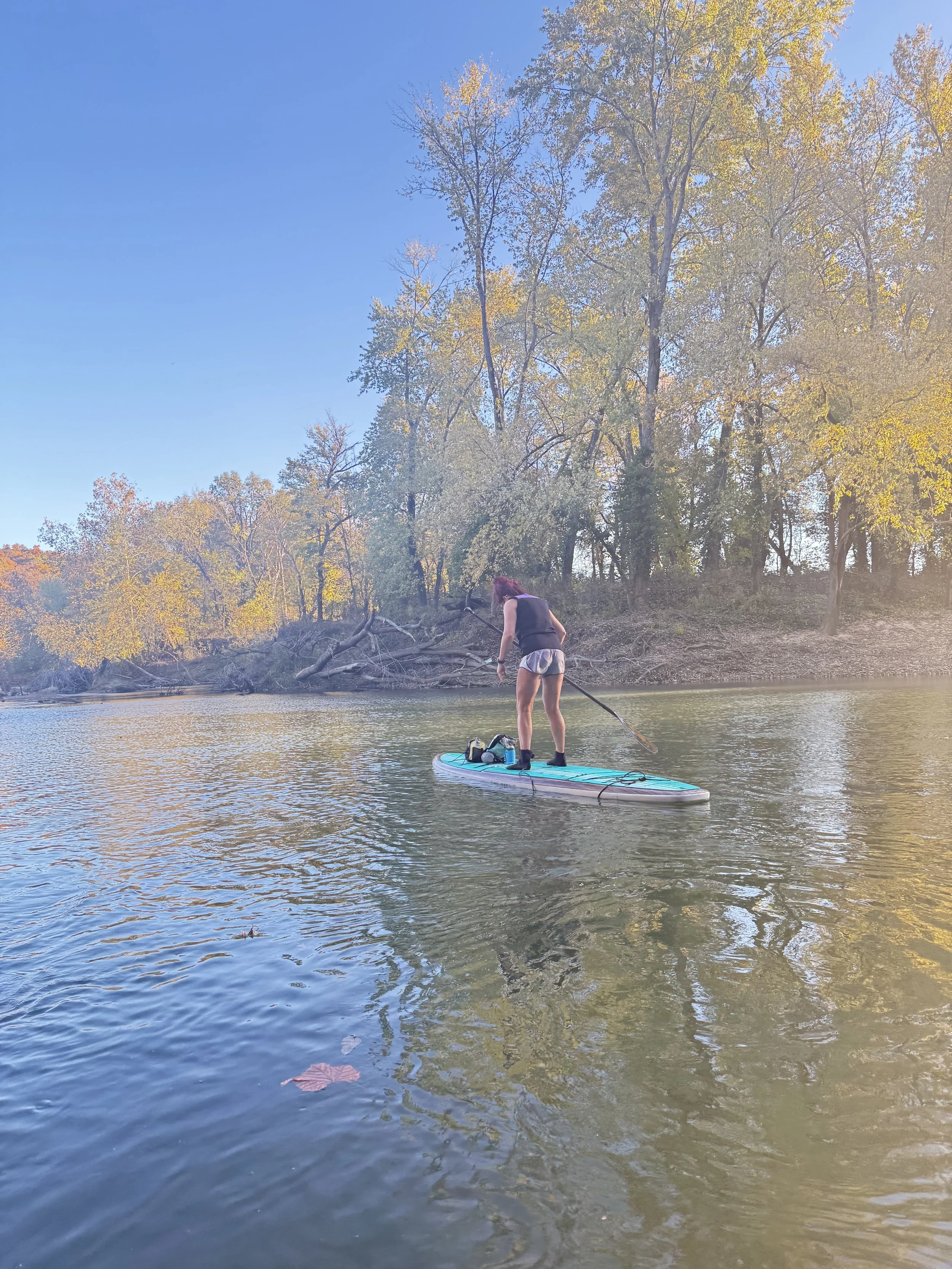 A woman paddleboarding on a calm river surrounded by trees with autumn foliage under a clear blue sky.