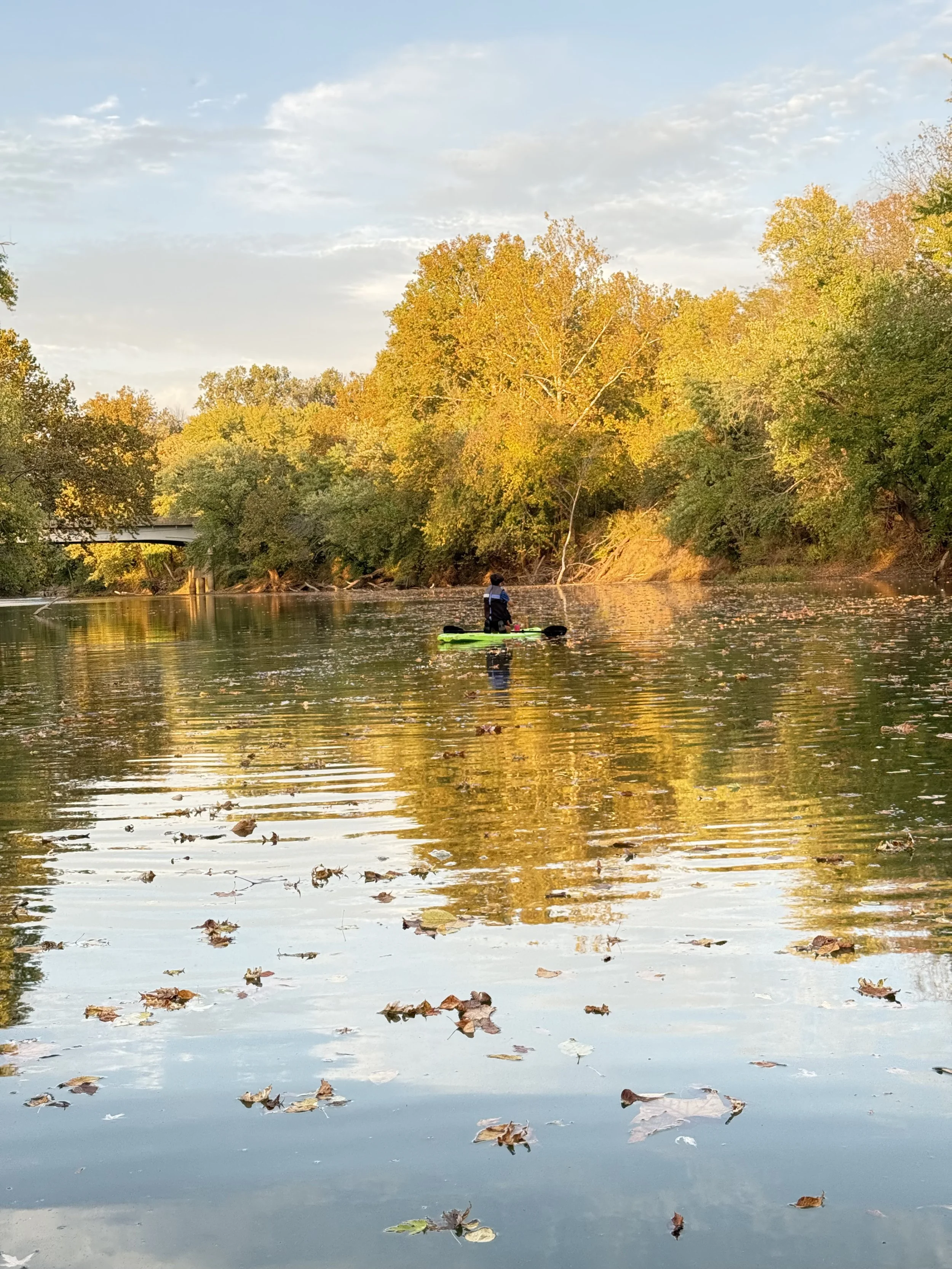 A person standing on a paddleboard on a river surrounded by trees with fall foliage, under a partly cloudy sky.