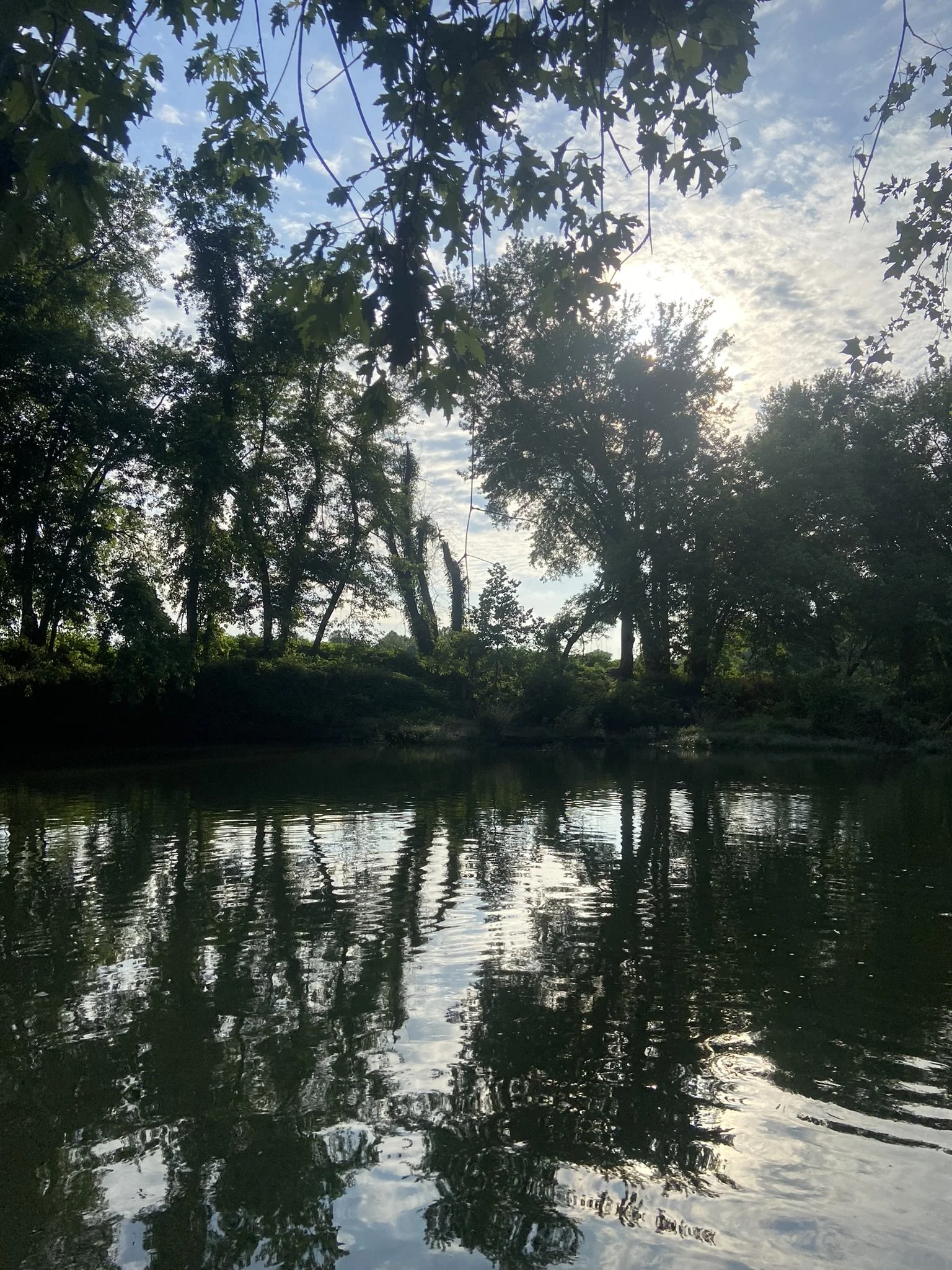 A tranquil river scene with trees along the bank and a partly cloudy sky reflected in the water.