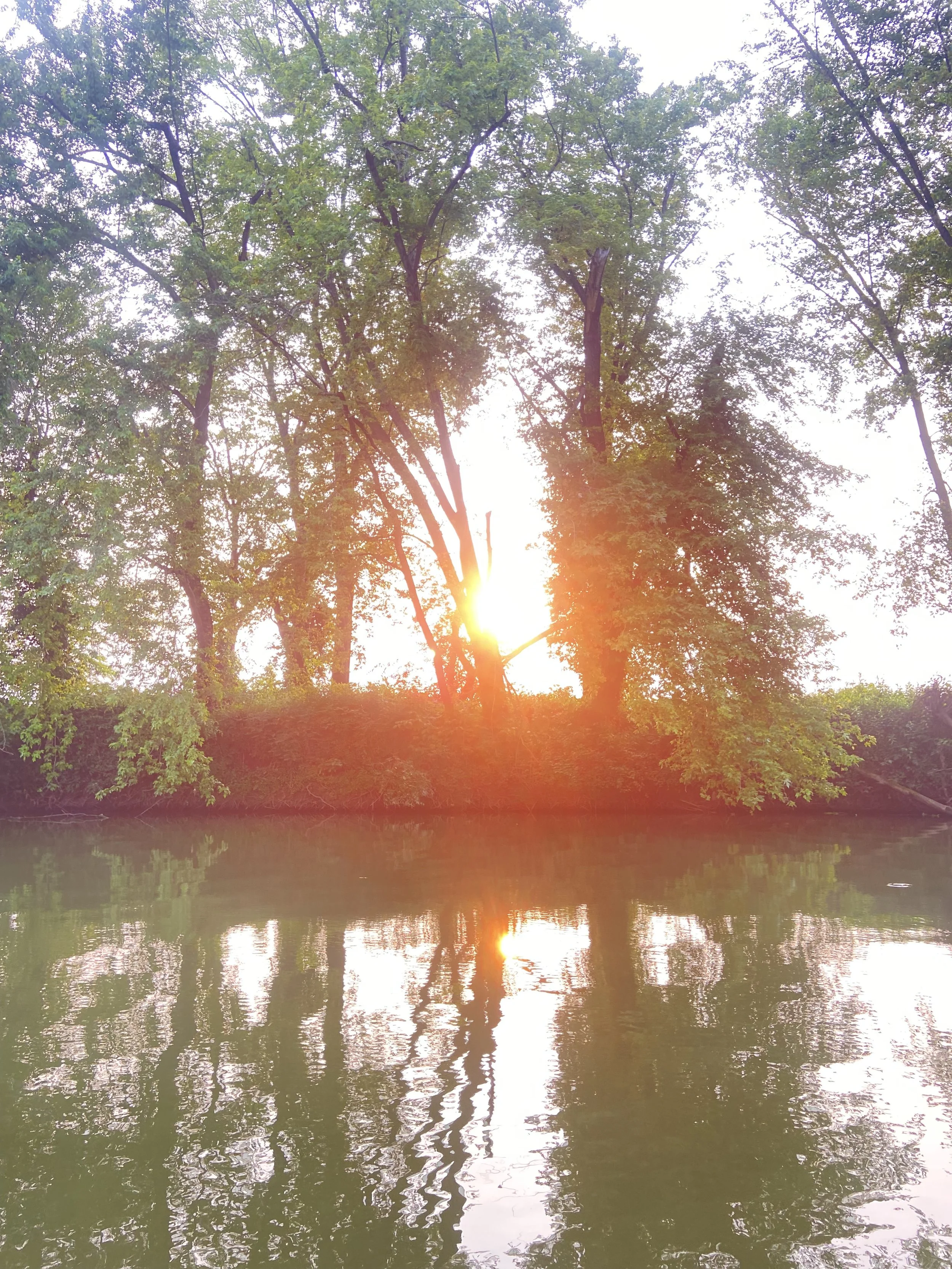 Sunset over a river with trees along the shoreline, reflected in the water.